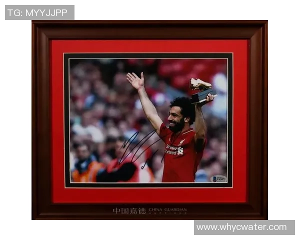 聚焦绿茵赛场优质头像展现世界足球球星风采