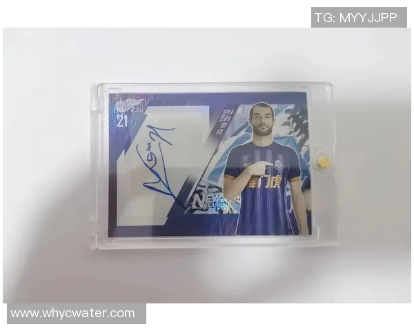 绝版足球球星卡收藏价值与稀缺性解析及未来市场发展趋势