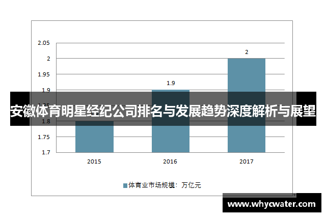 安徽体育明星经纪公司排名与发展趋势深度解析与展望